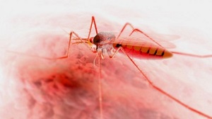 Emergencia de dengue en Puerto Rico