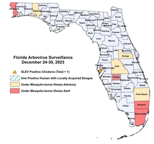 Dengue en Florida