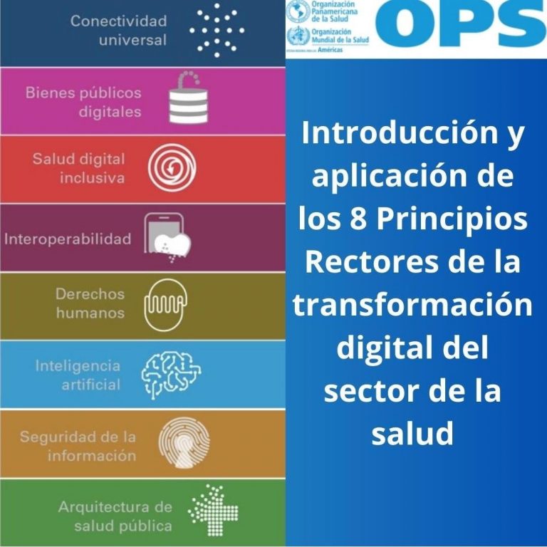 Introducción y aplicación de los 8 Principios Rectores de la transformación digital del sector de la salud