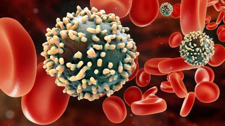 Virus del VIH. Fuente: Ciclo de vida.net