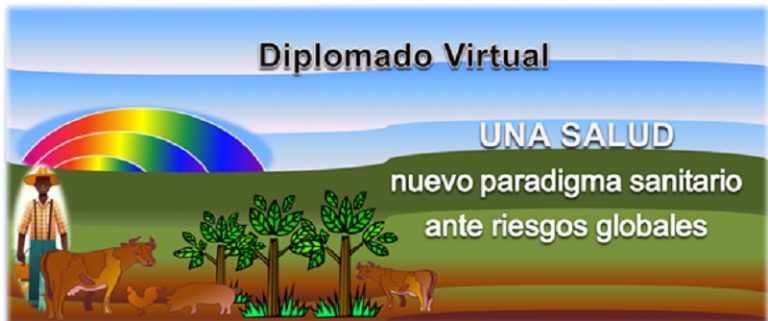 Diplomado Virtual