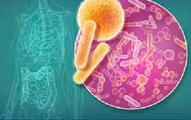 Microbioma intestinal