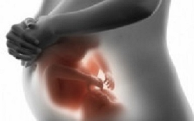 Trasmisión vertical