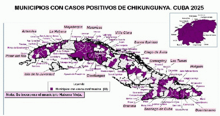 Trasmisión chikunguya