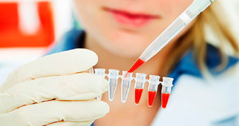 Diagnóstico chikungunya