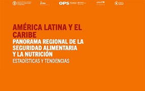 América Latina y el Caribe. Panorama regional de la seguridad alimentaria y la nutrición 2025