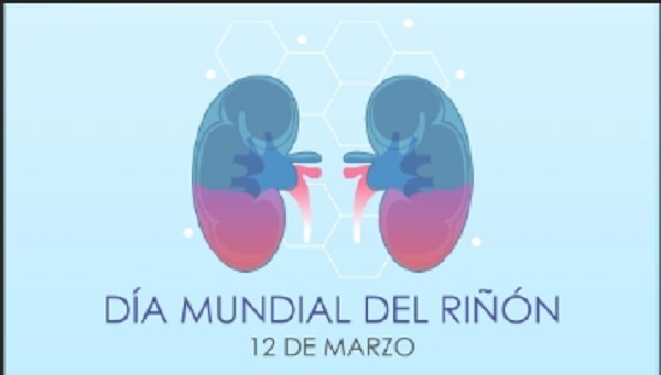 Día mundial del riñón